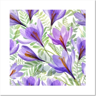 Crocus transparent flowers and green spring leaves composition. Watercolor translucent Saffron Crocus blossom Posters and Art